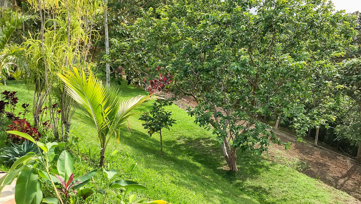 Linda-quinta-en-alquiler-en-Barrio-Jesus-de-Atenas-2