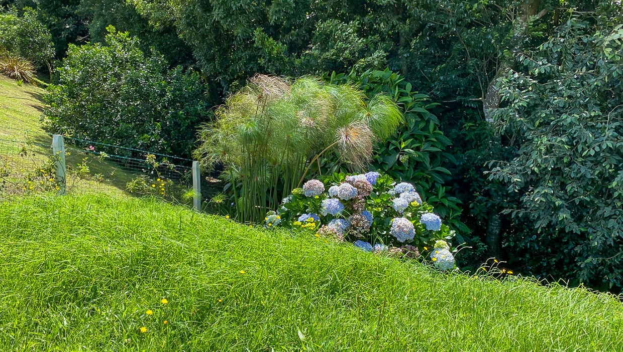 Lot-with-espectacular-views-and-a-structure-in-Sabana-Redonda-Poas-9