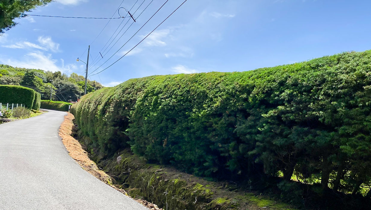 Lot-with-spectacular-views-in-Sabana-Redonda-Poas-7