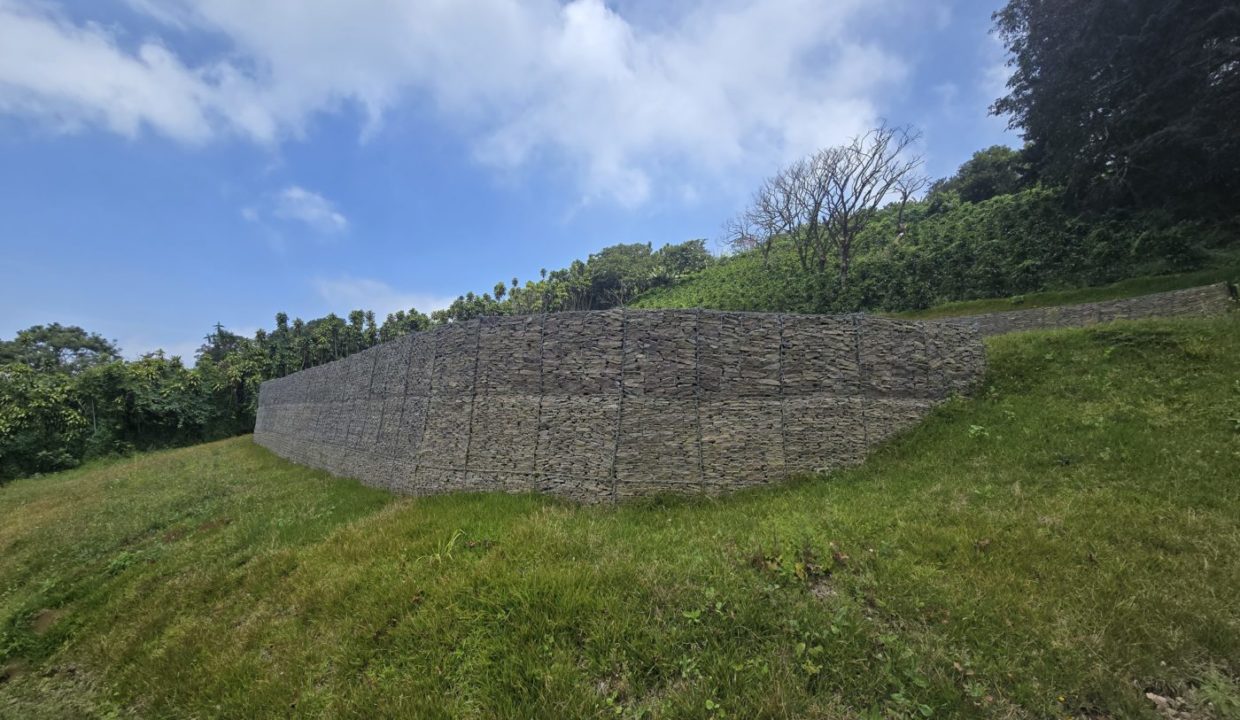 Wall