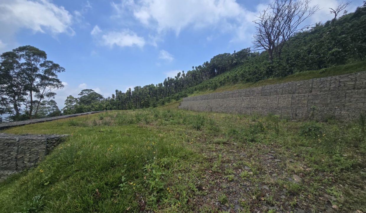 buildingarea