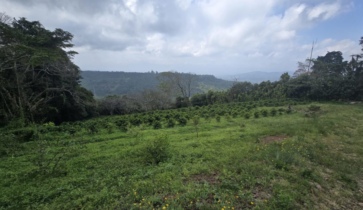 view3
