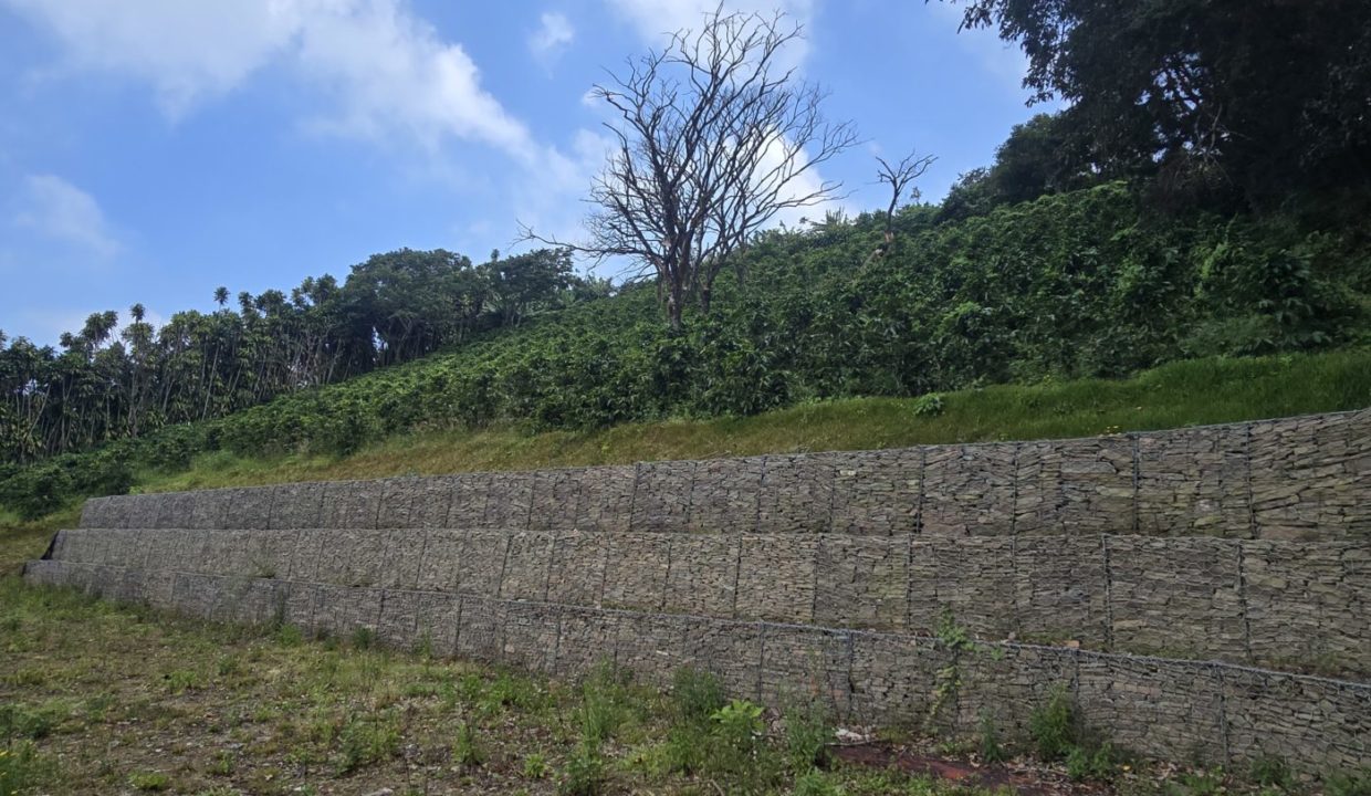 wall2
