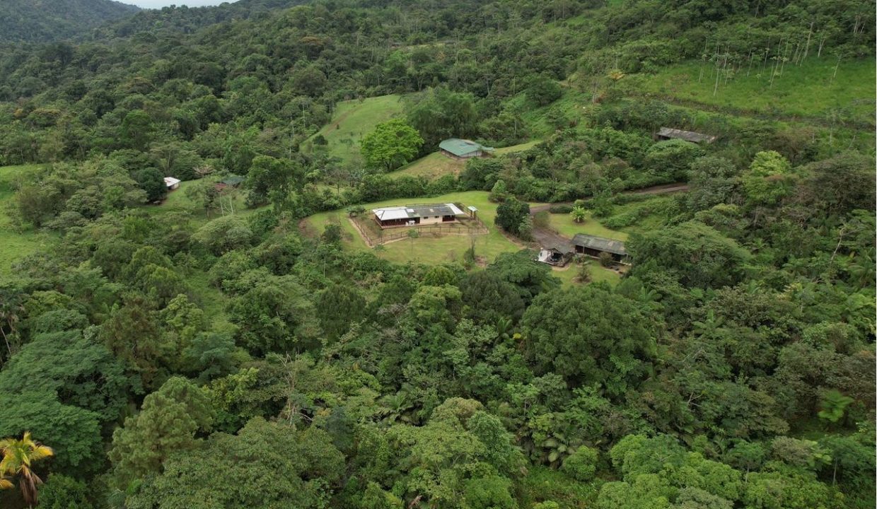 DroneAllDwellings