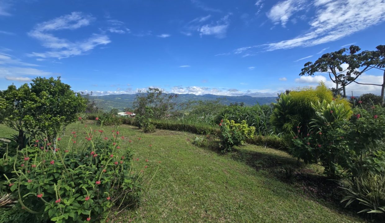 garden