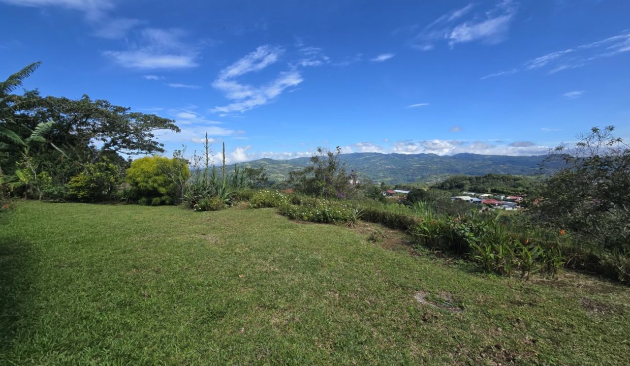 garden2