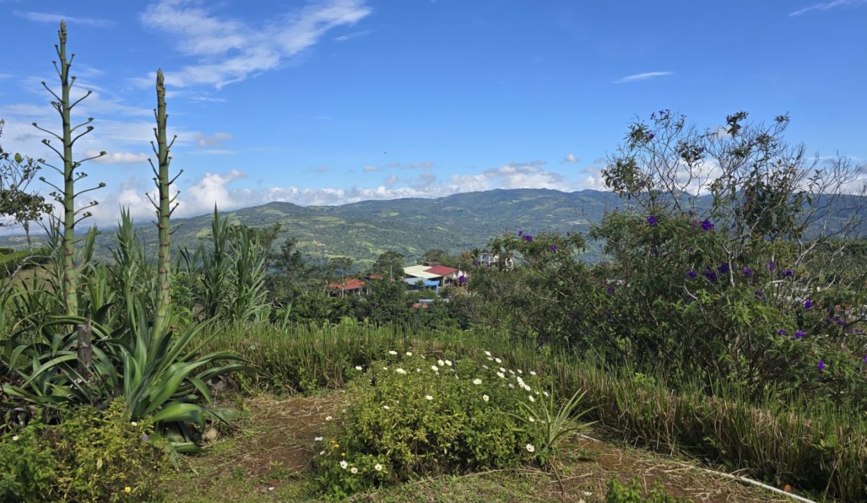 gardenview