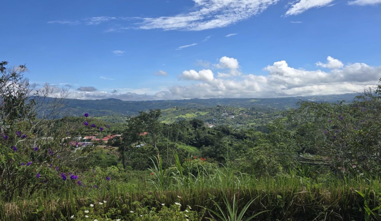 gardenview2