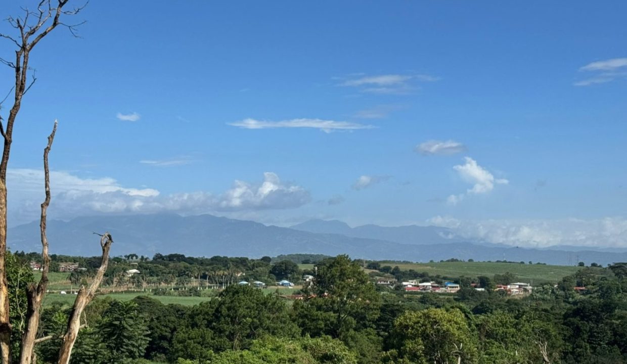 jpg rc15
