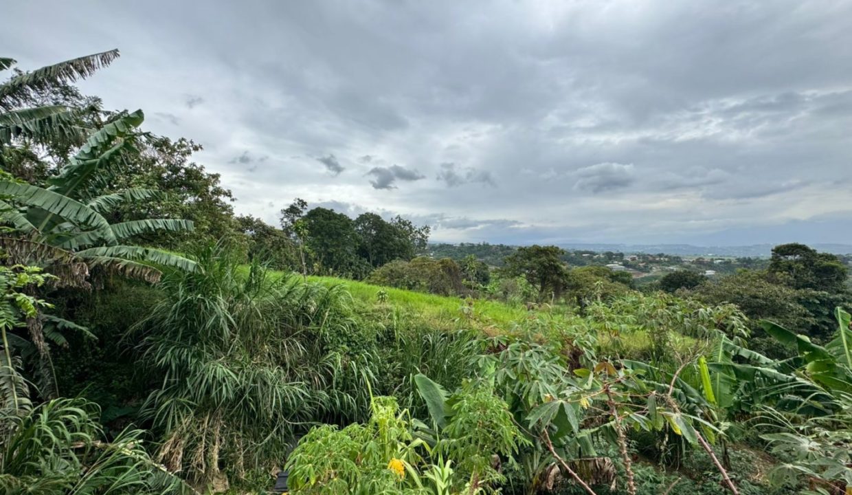 jpgja10