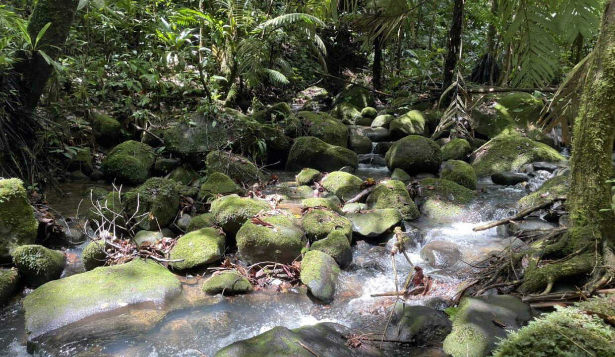 river2