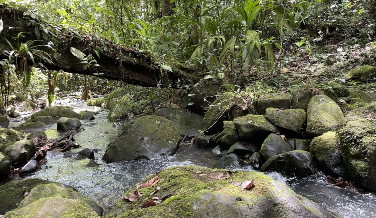 river3