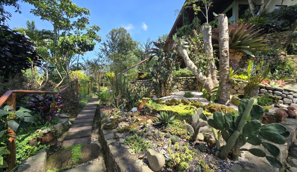 GardenCacti