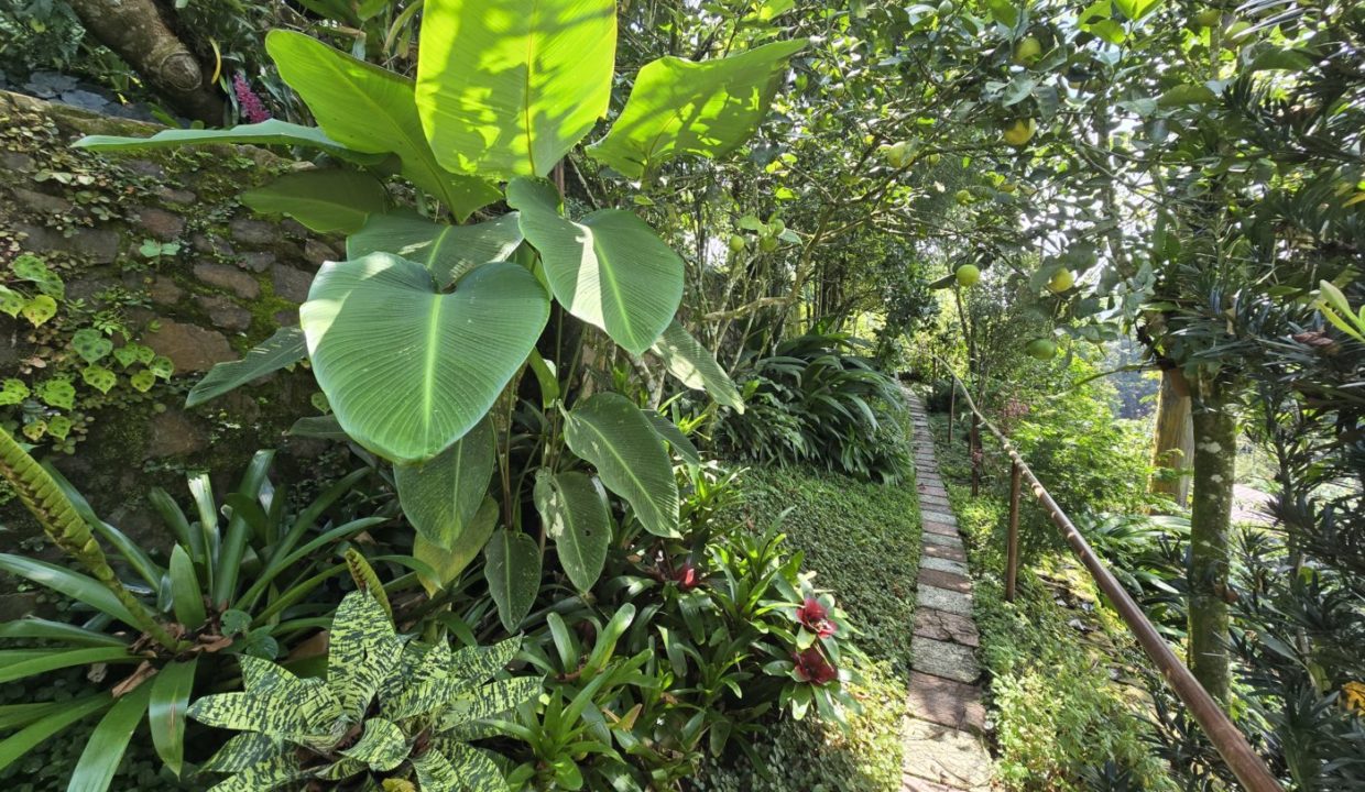 GardenCitrus