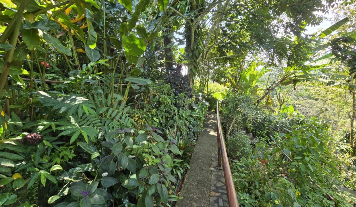 GardenPath1