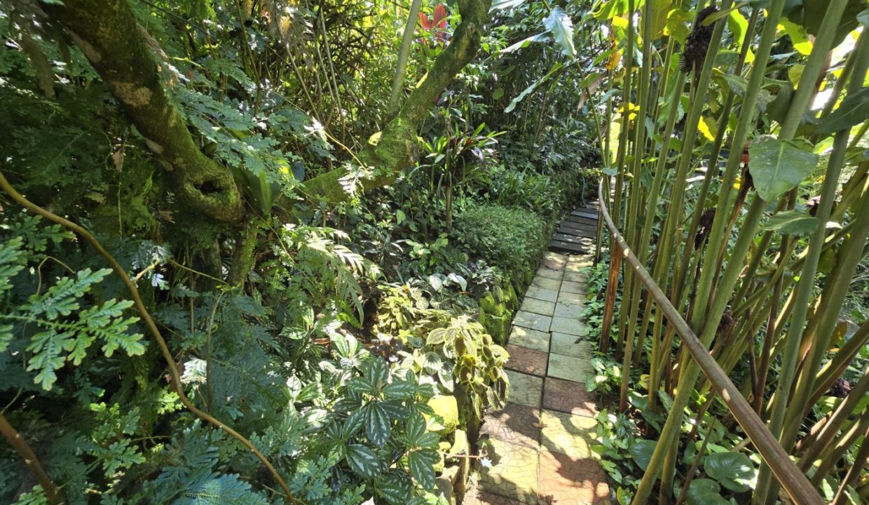 GardenPath3