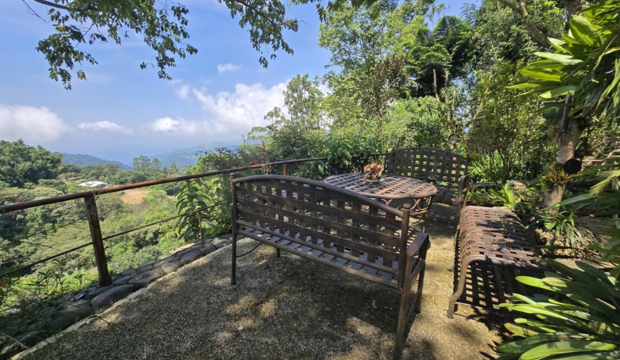 GardenPatio1