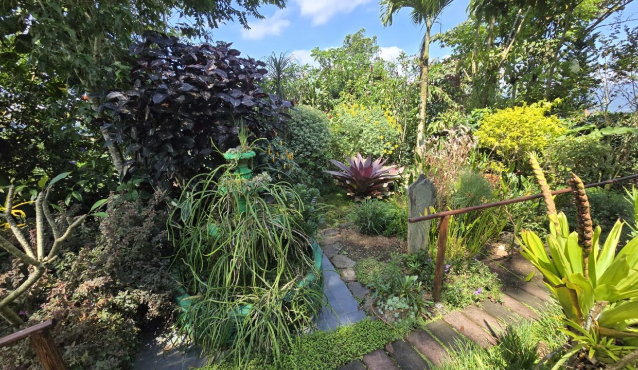 GardenPlants