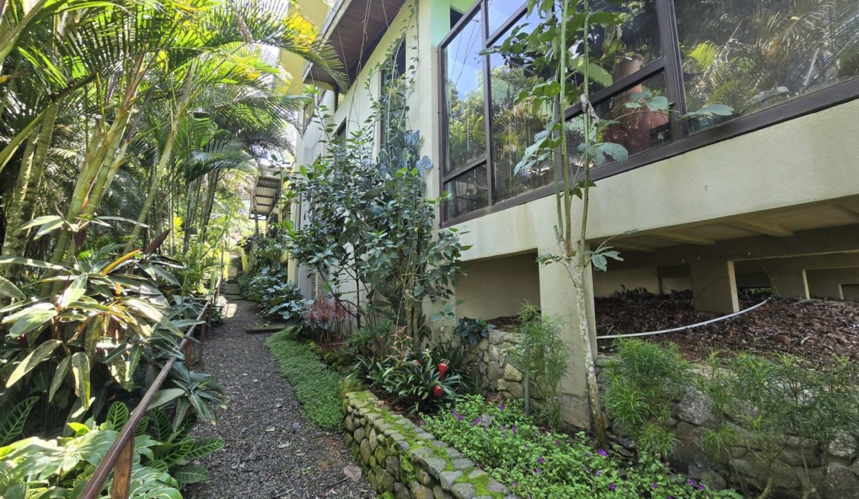 GardenSideofHouse