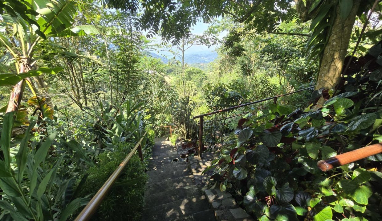 GardenStairs