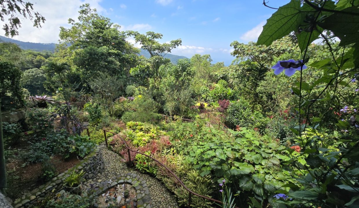 GardenView1