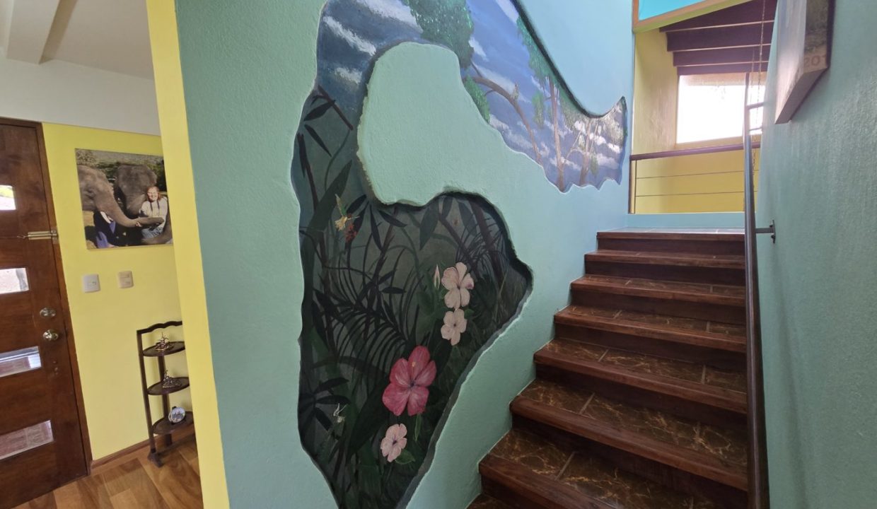 HouseMural
