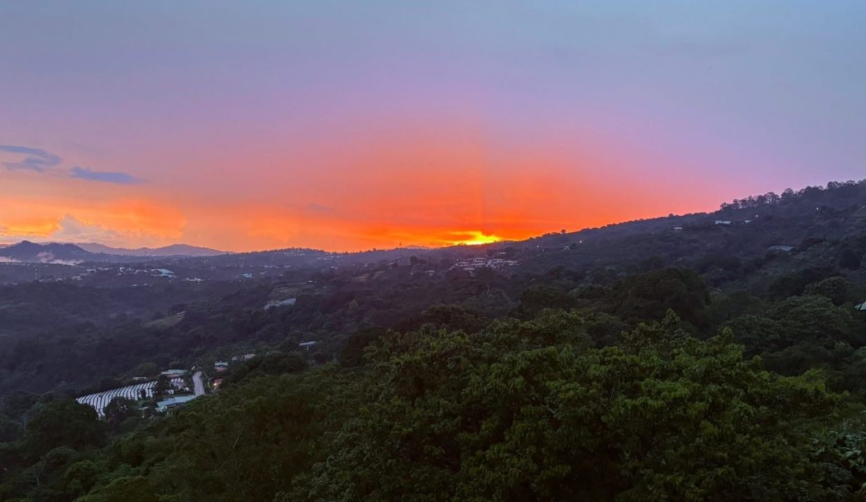 PHOTO-2025-10-17-10-44-52