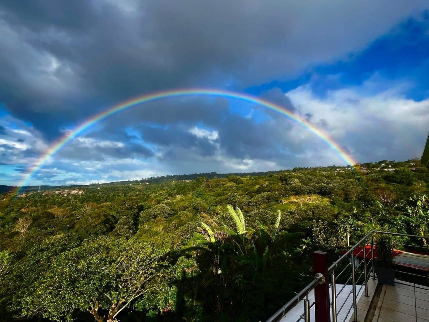 Amazing investment property within walking distance of Atenas.