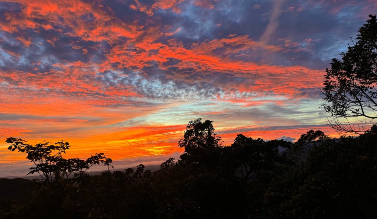 SunsetPic