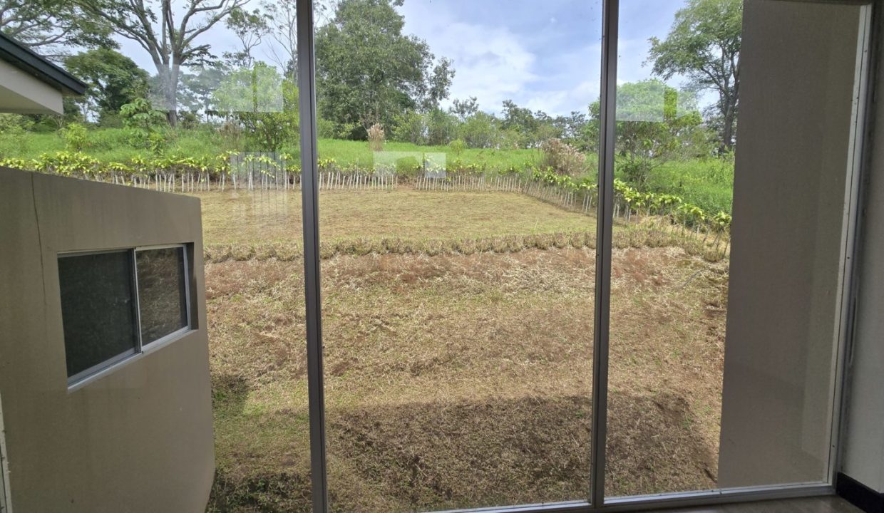 yard