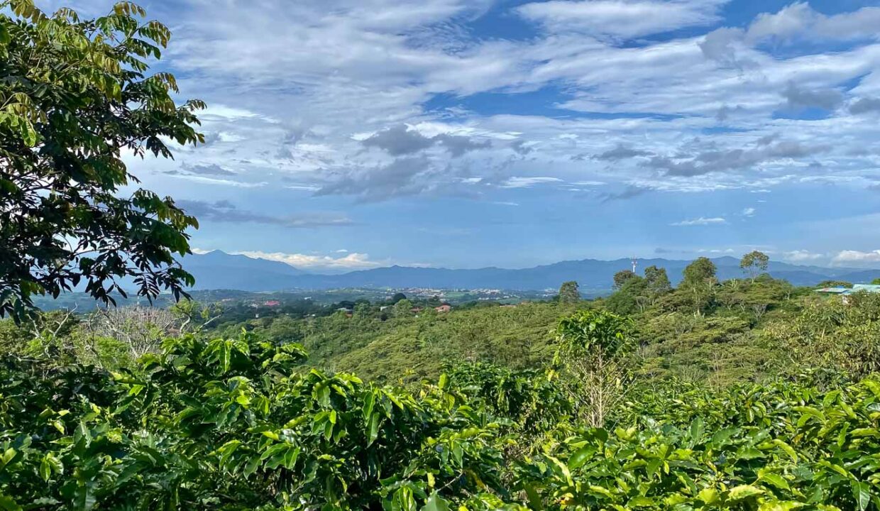 Coffee-farm-for-sale-with-beautiful-views-and-river-in-the-highlands-of-Grecia-6