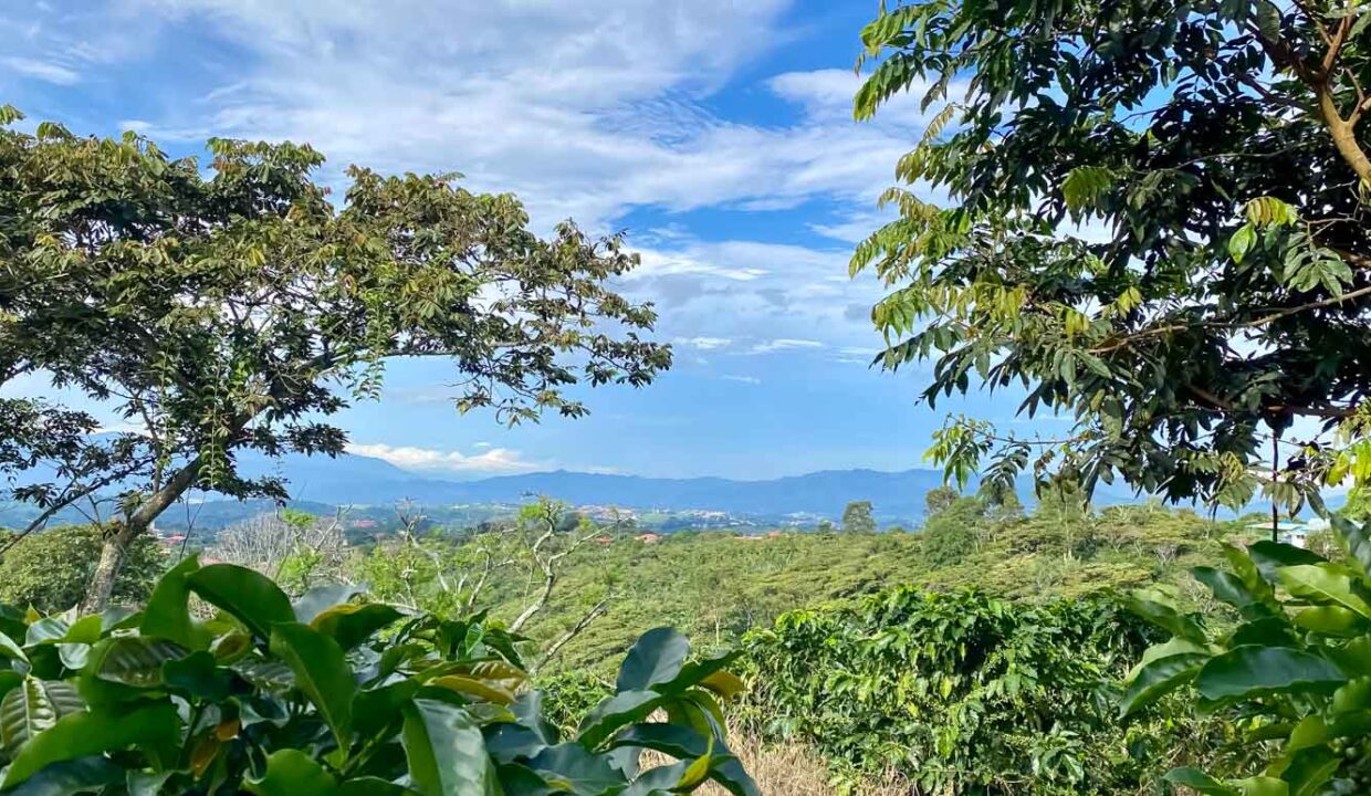 Coffee-farm-for-sale-with-beautiful-views-and-river-in-the-highlands-of-Grecia-7