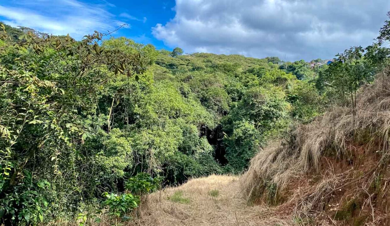 Coffee-farm-for-sale-with-beautiful-views-and-river-in-the-highlands-of-Grecia-9