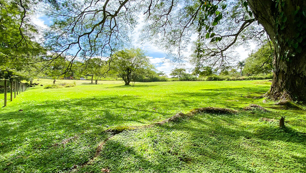 Nice-estate-dream-house-Turrucares-3