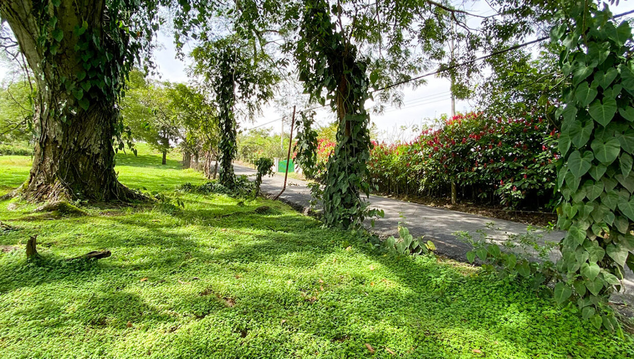 Nice-estate-dream-house-Turrucares-4