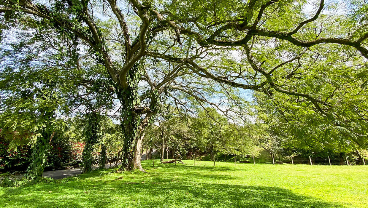 Nice-estate-dream-house-Turrucares-5