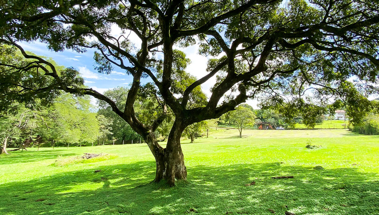 Nice-estate-dream-house-Turrucares-6